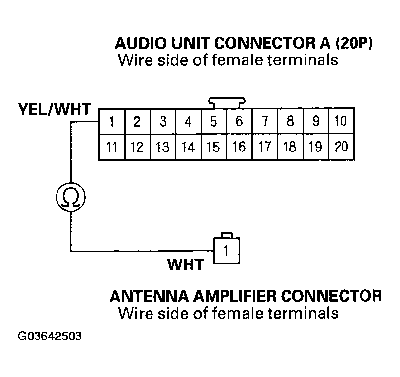 G03642503