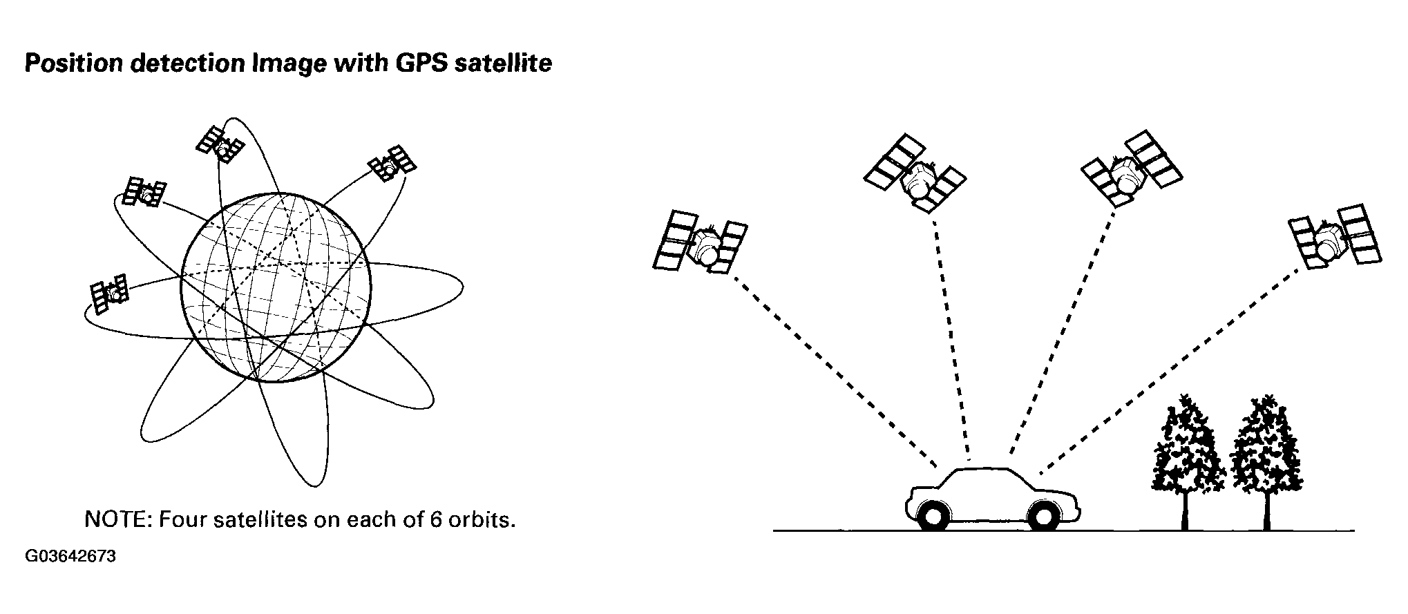 G03642673