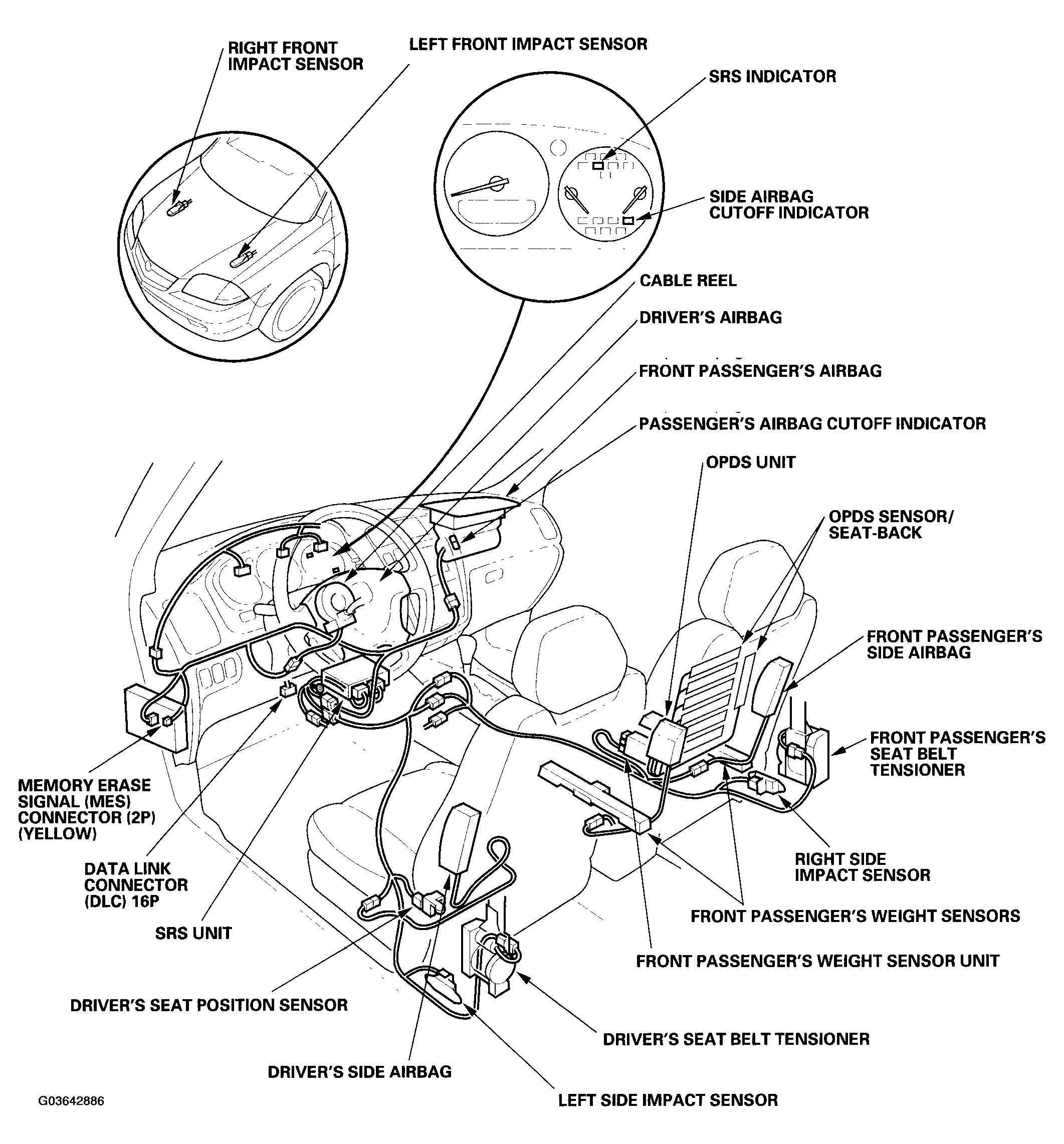 G03642886