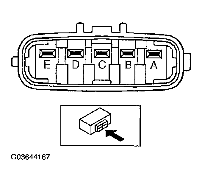 G03644167