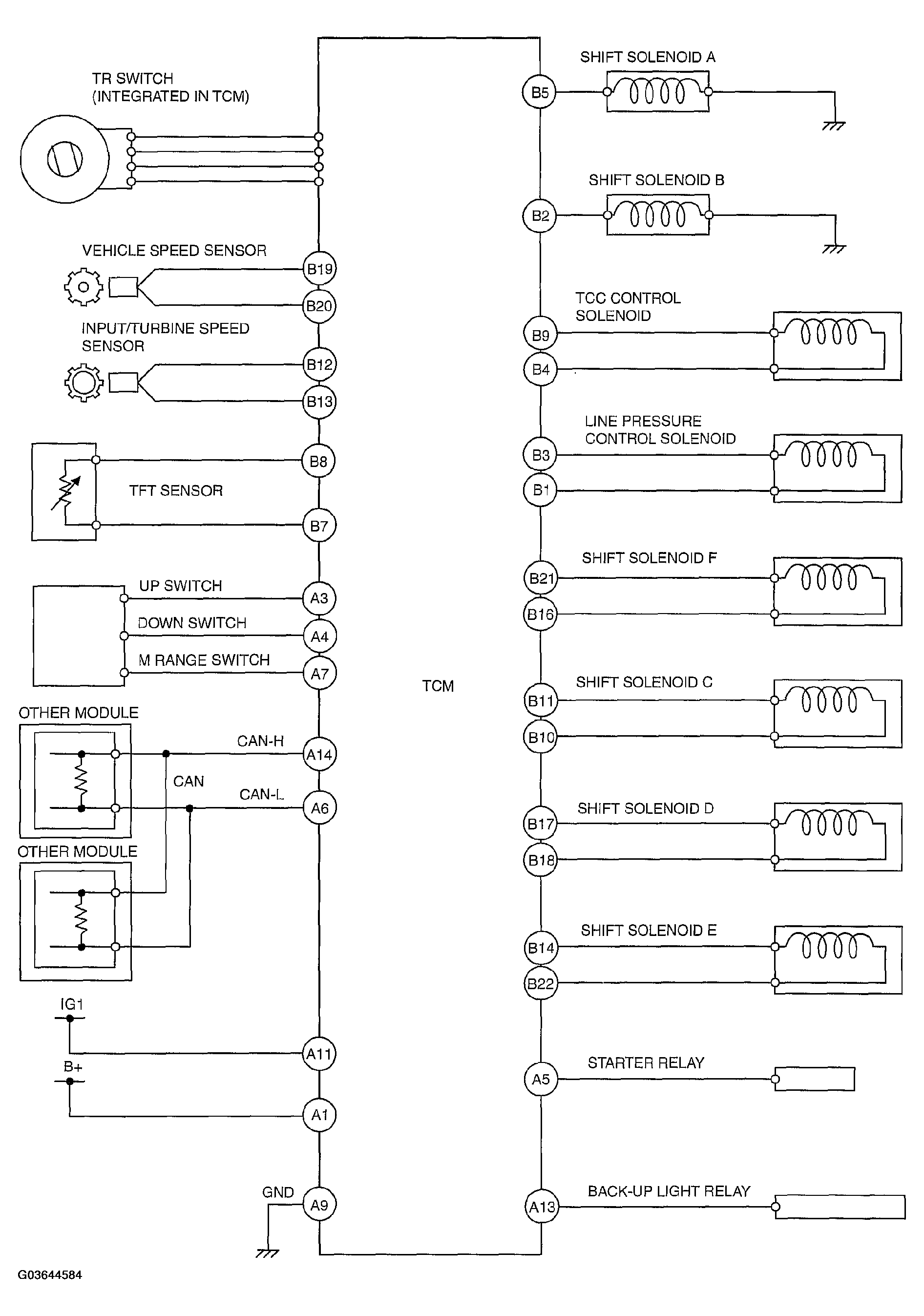 G03644584