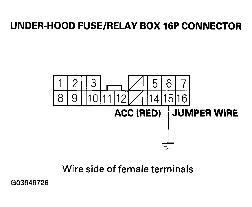 G03646726