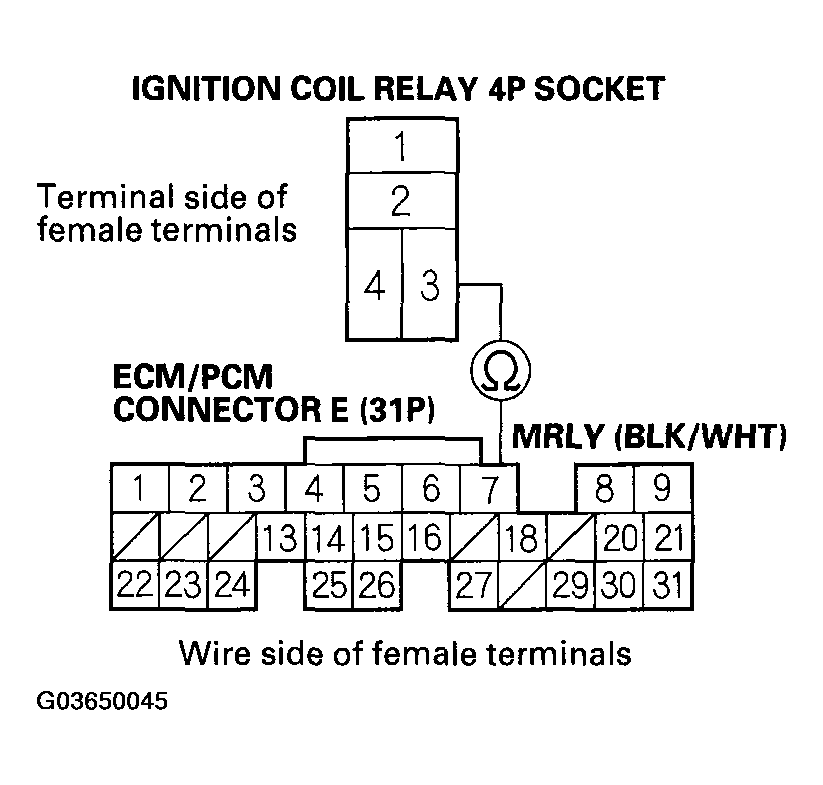 G03650045