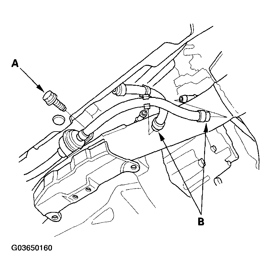 G03650160