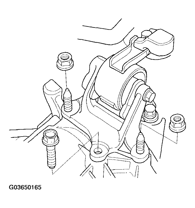 G03650165