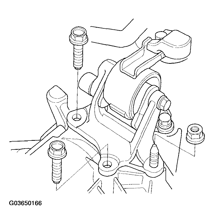 G03650166