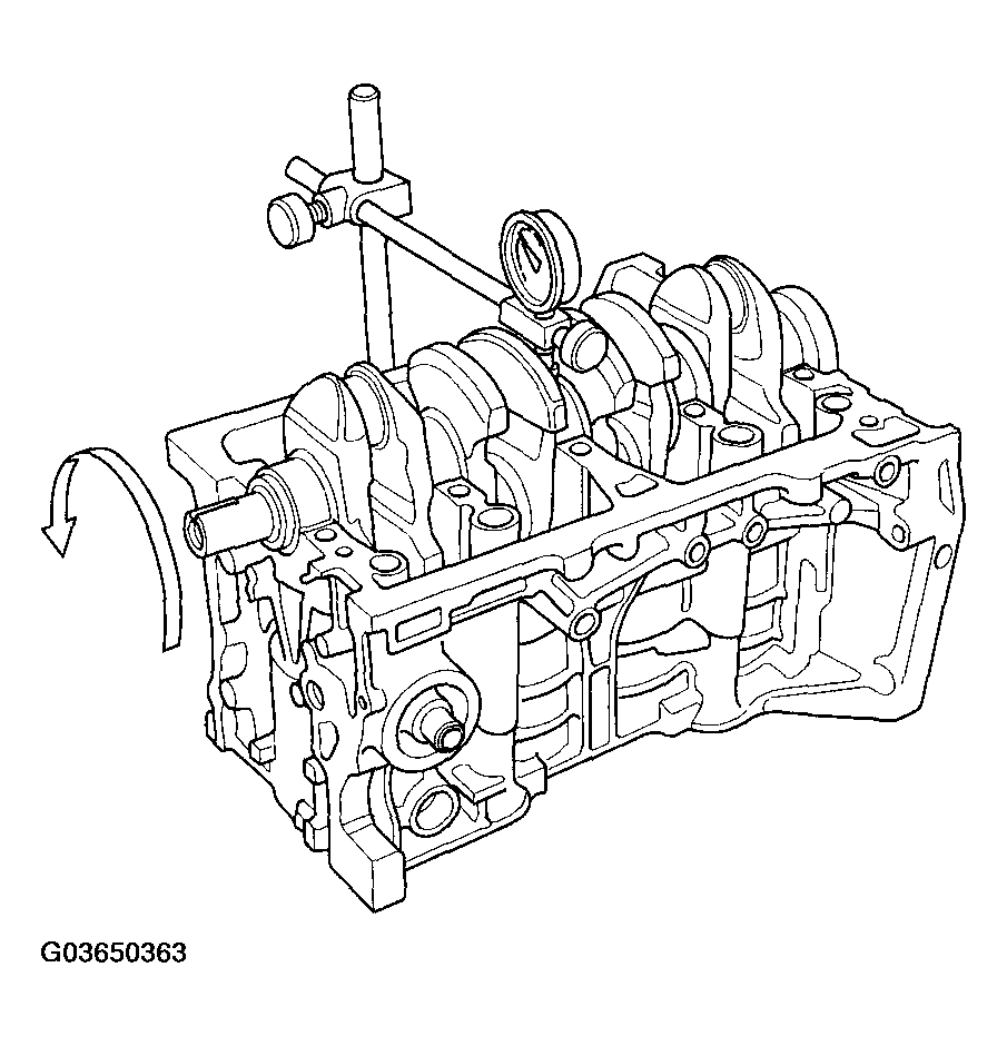 G03650363