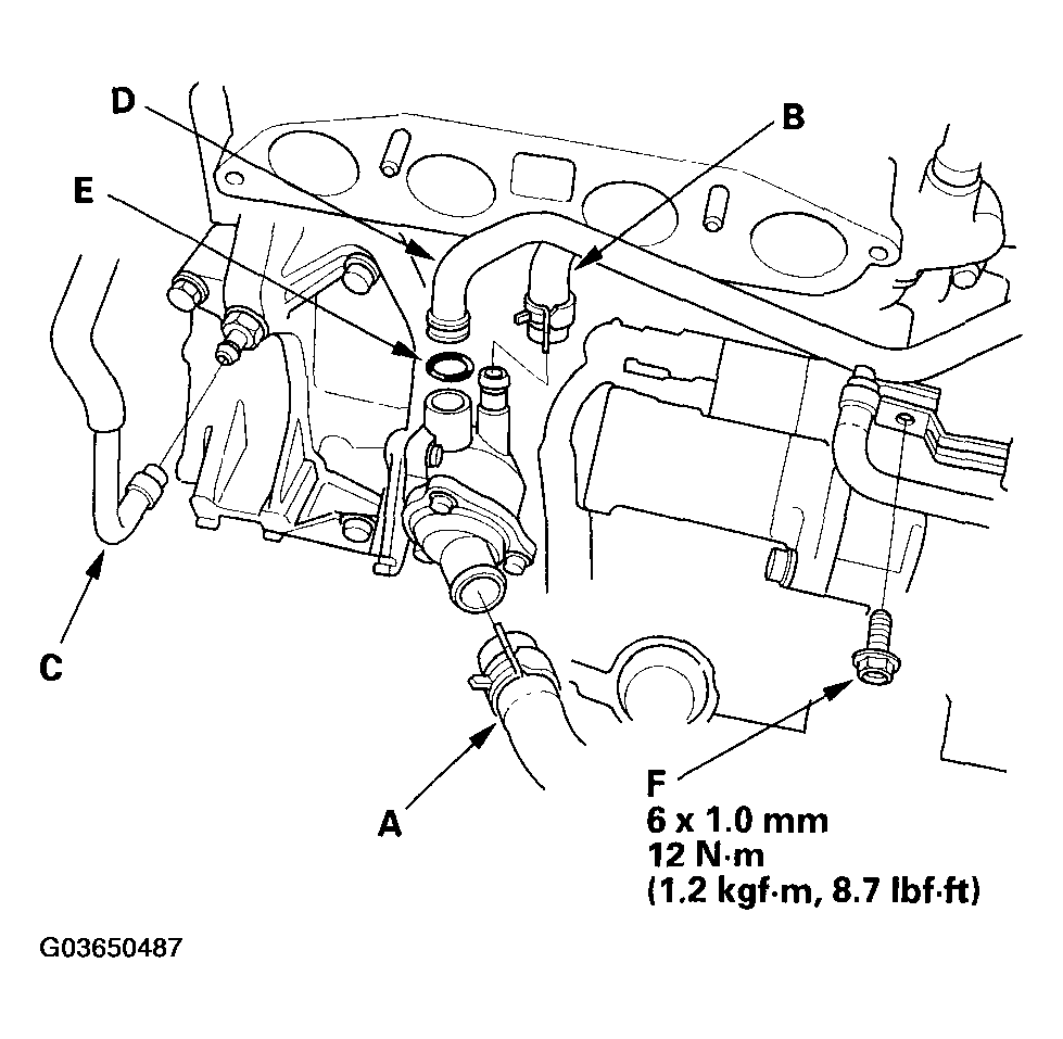 G03650487