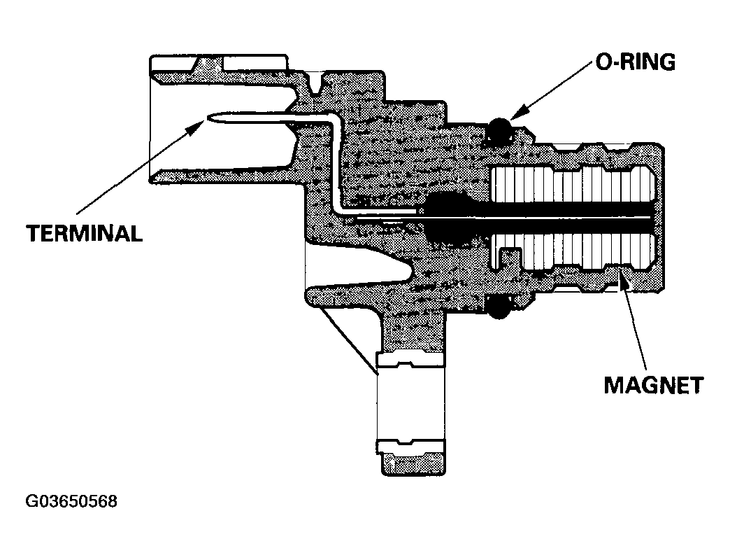 G03650568