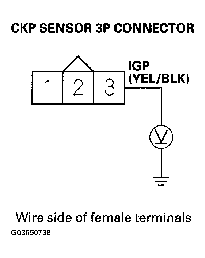 G03650738