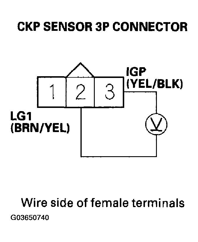 G03650740