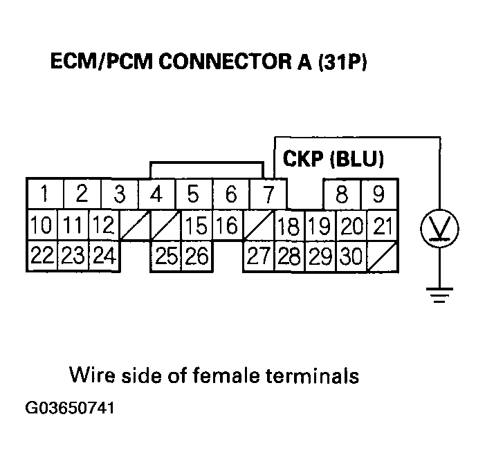 G03650741