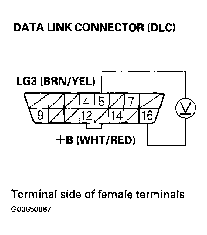 G03650887