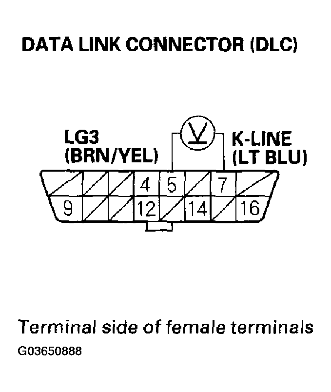G03650888