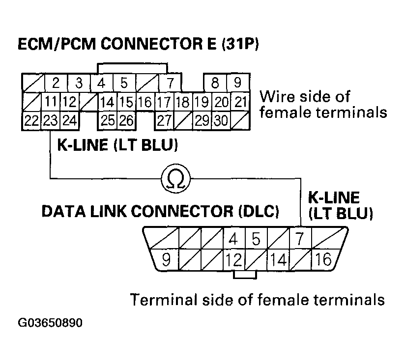G03650890