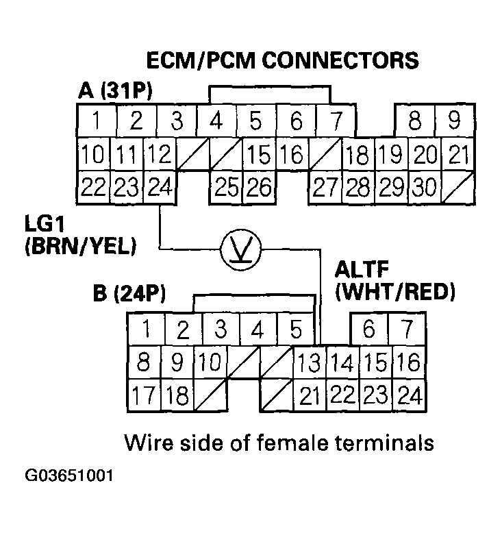 G03651001