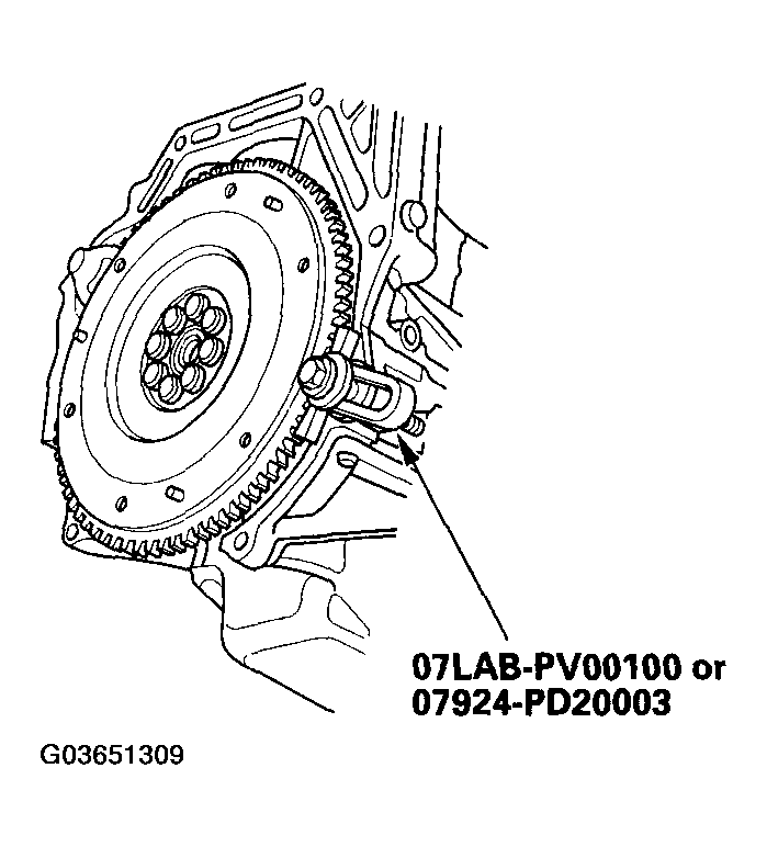 G03651309