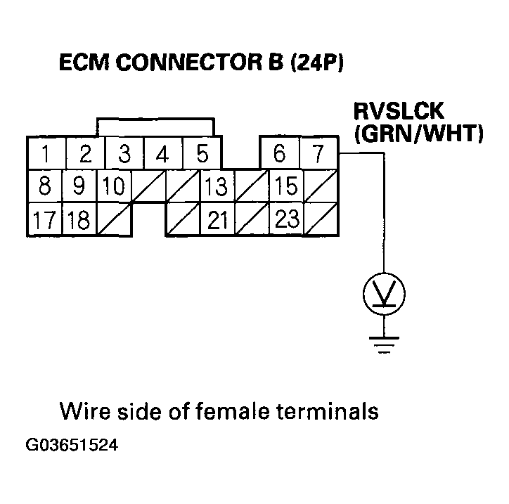 G03651524
