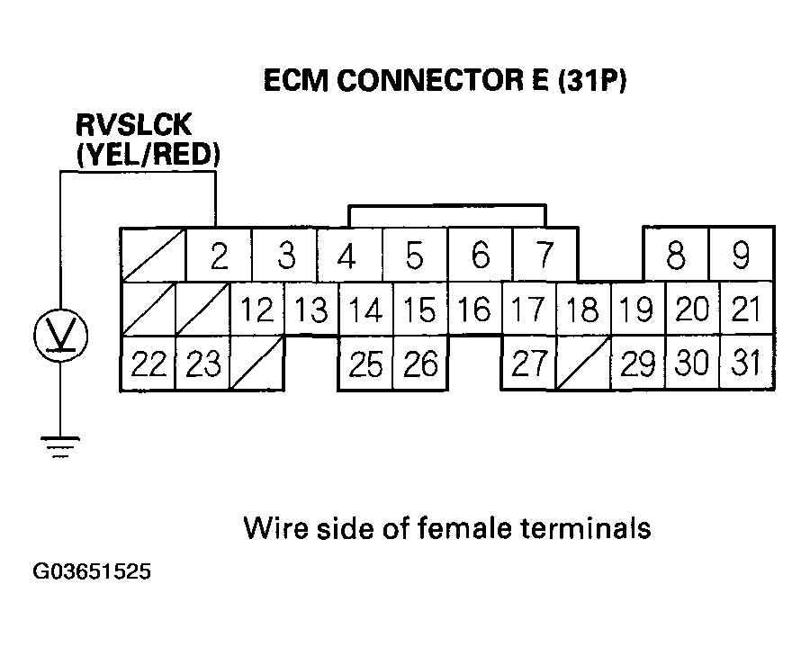 G03651525