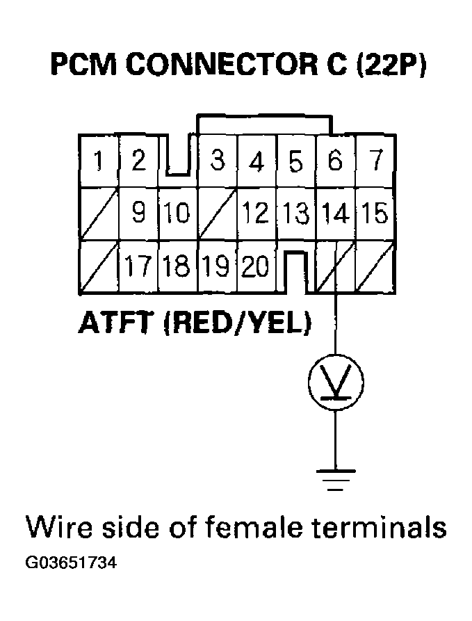 G03651734