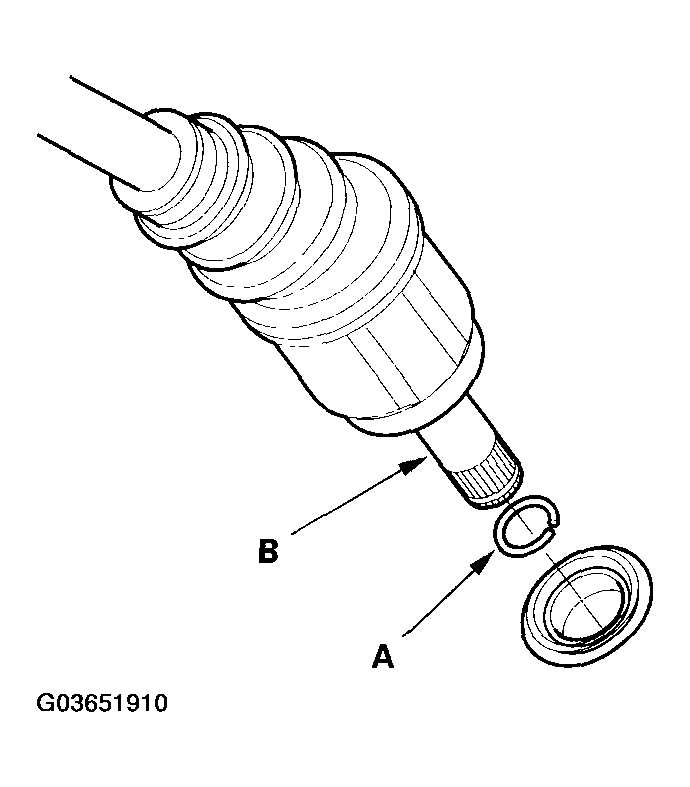 G03651910