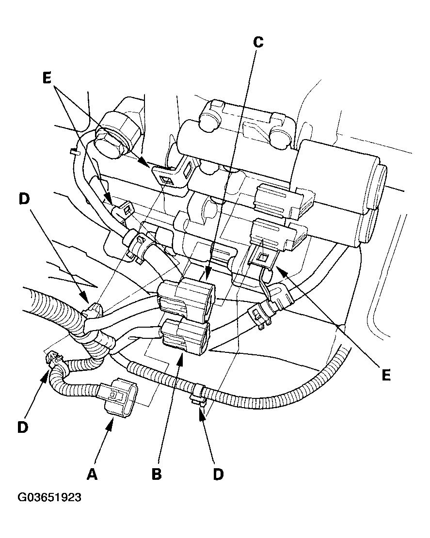 G03651923
