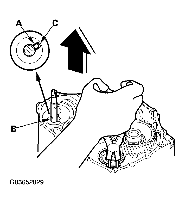 G03652029