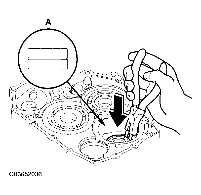 G03652036