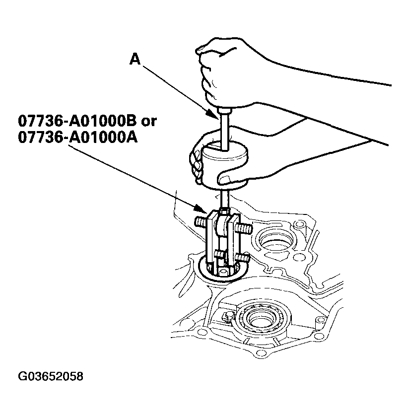 G03652058