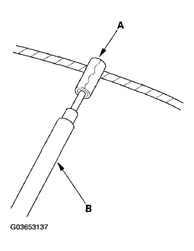 G03653137