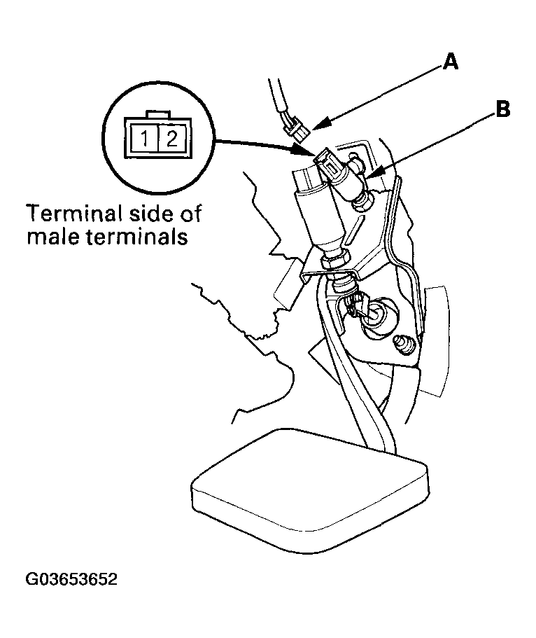 G03653652
