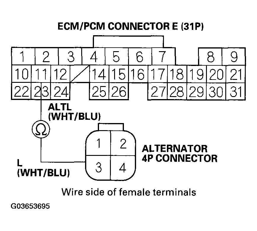 G03653695