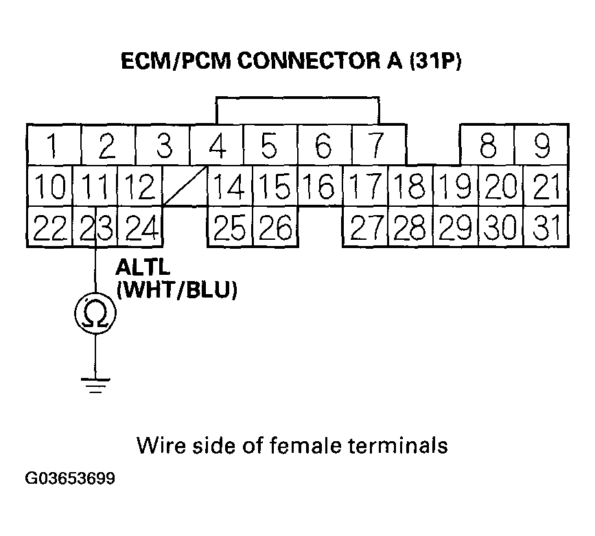 G03653699