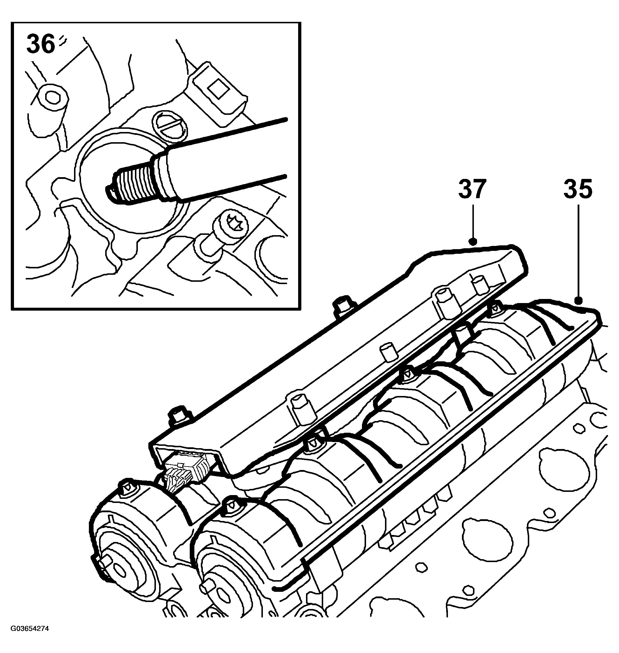 G03654274