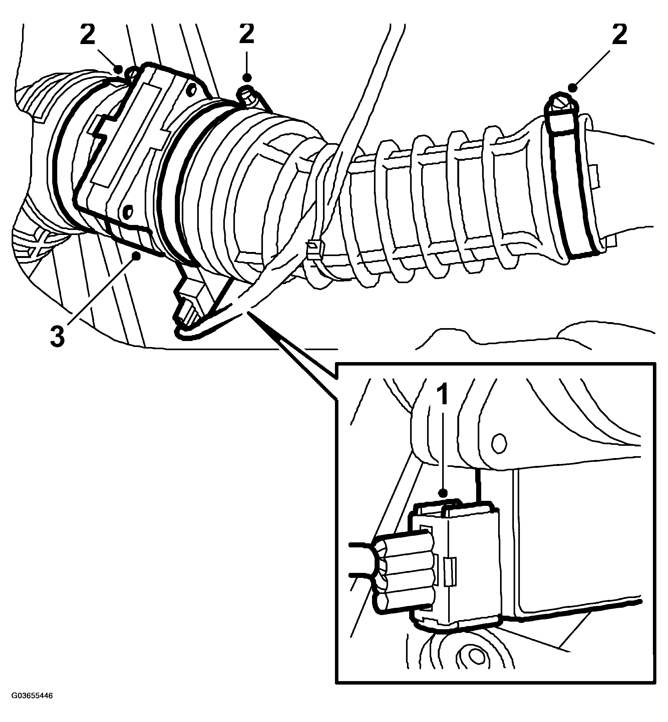 G03655446
