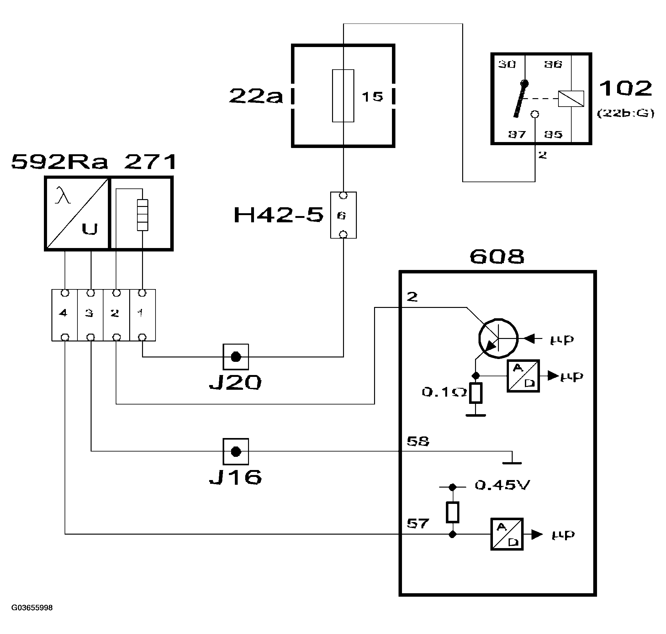 G03655998