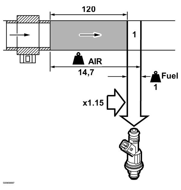G03656007