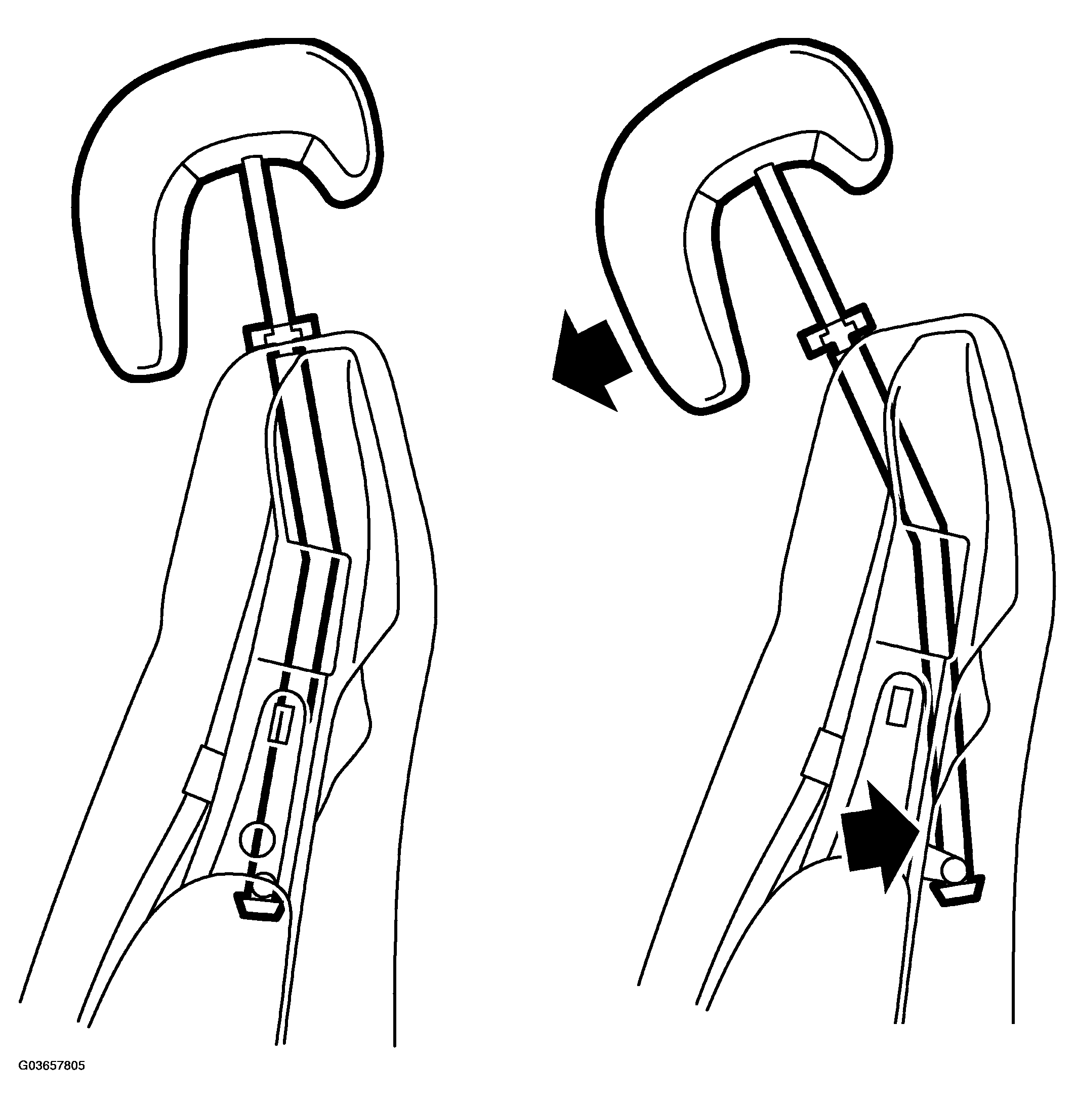 G03657805