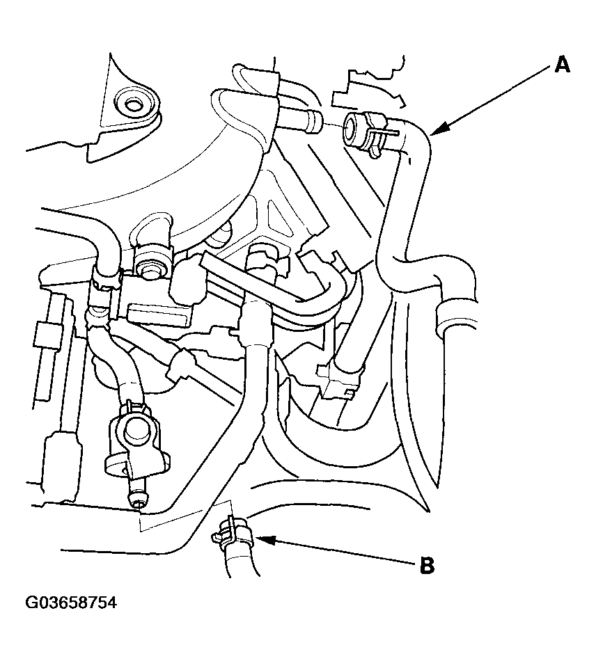 G03658754