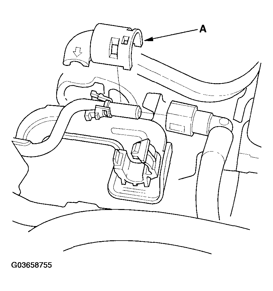 G03658755