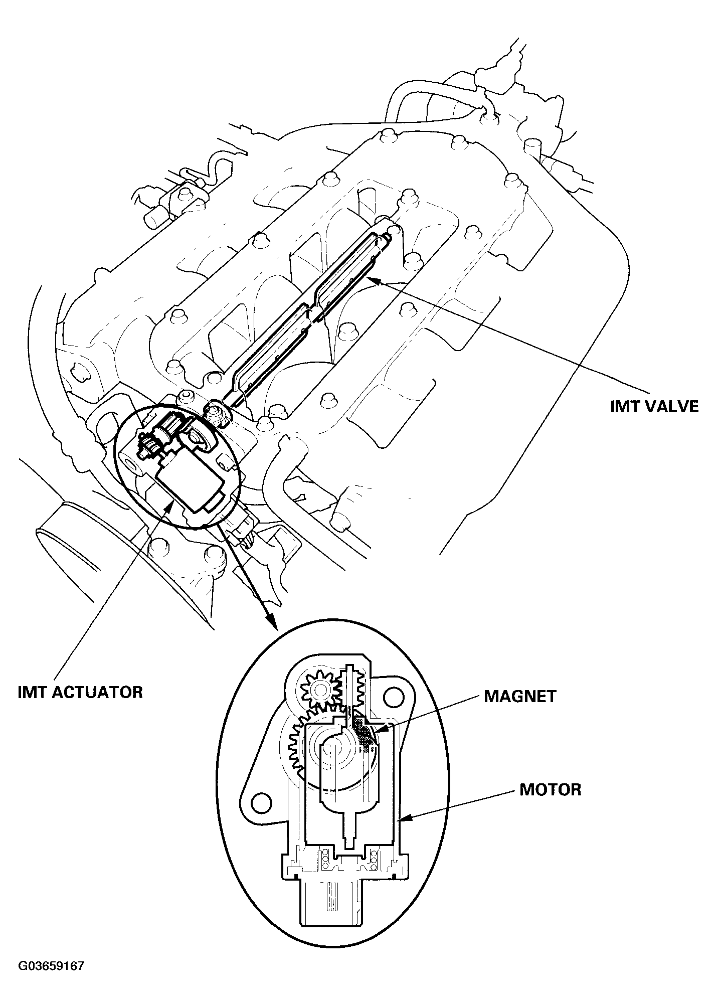 G03659167