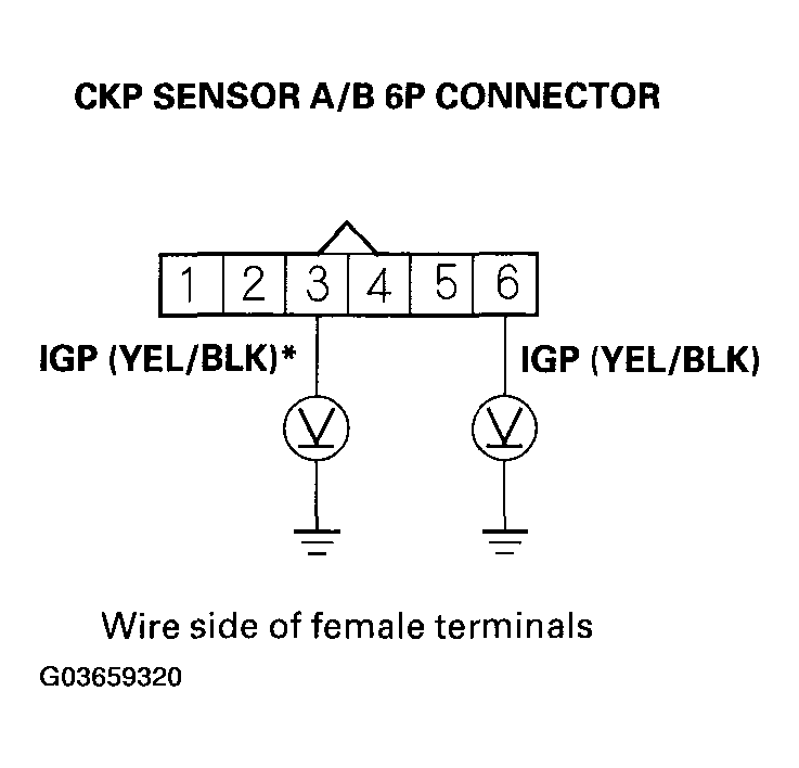 G03659320