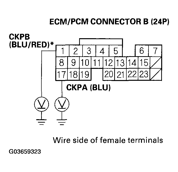 G03659323