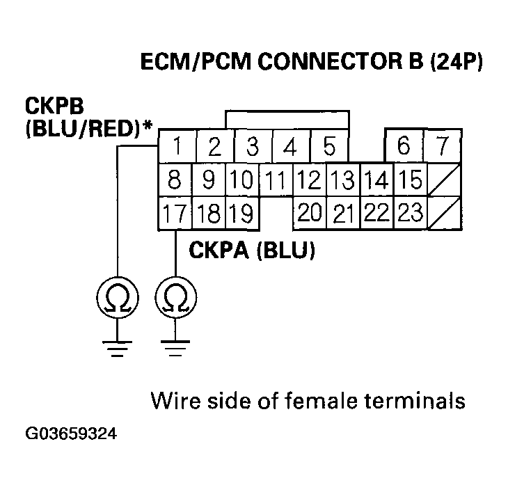 G03659324
