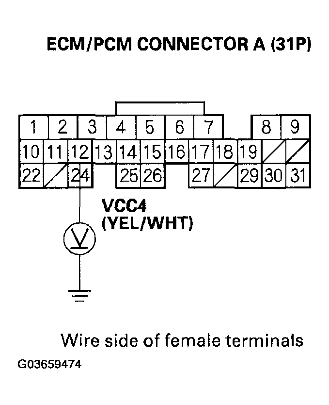 G03659474