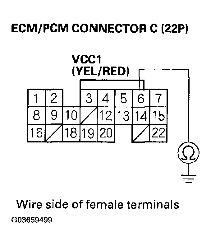 G03659499