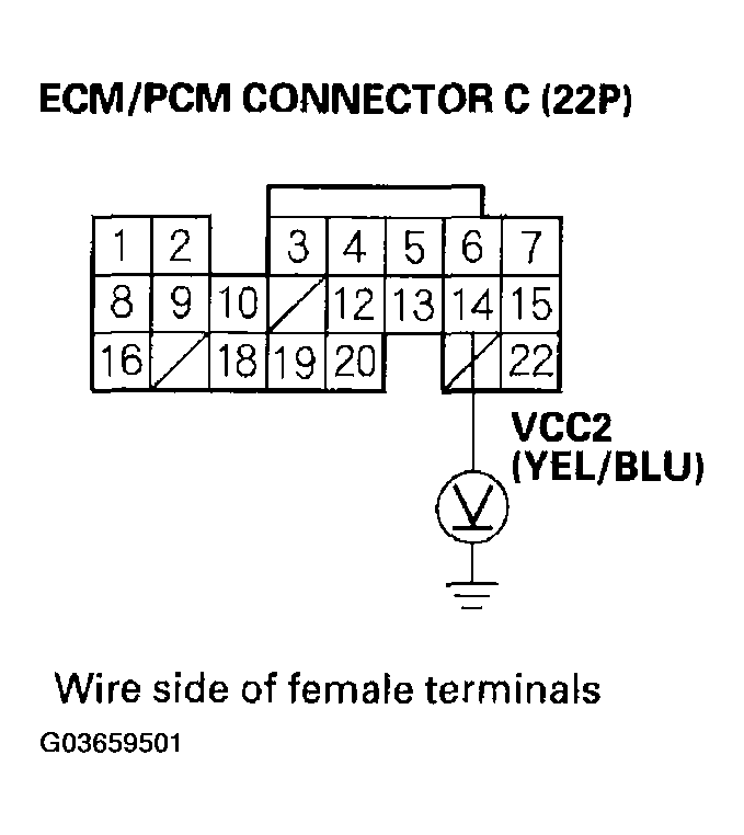 G03659501