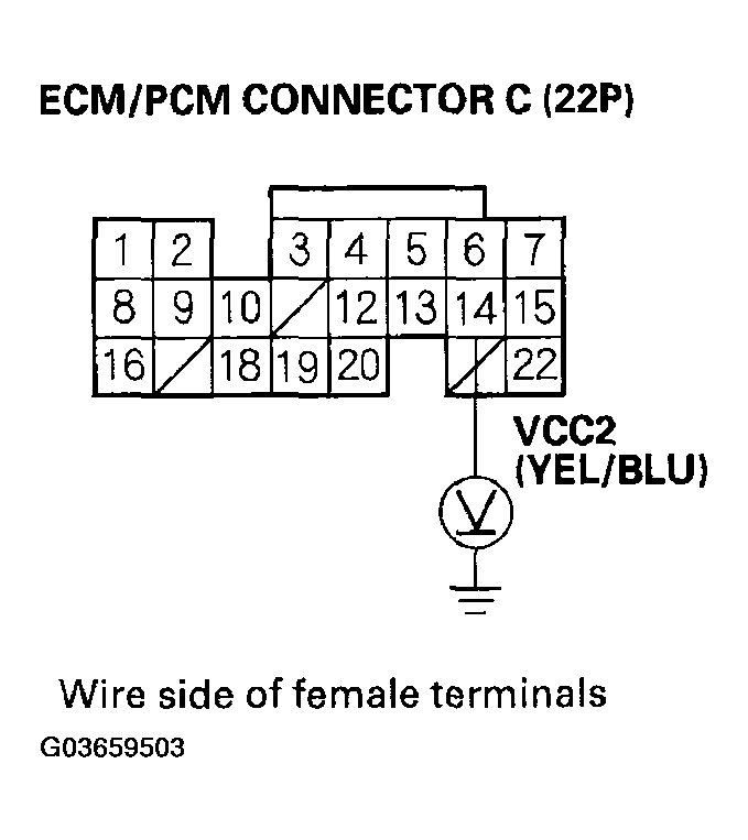 G03659503