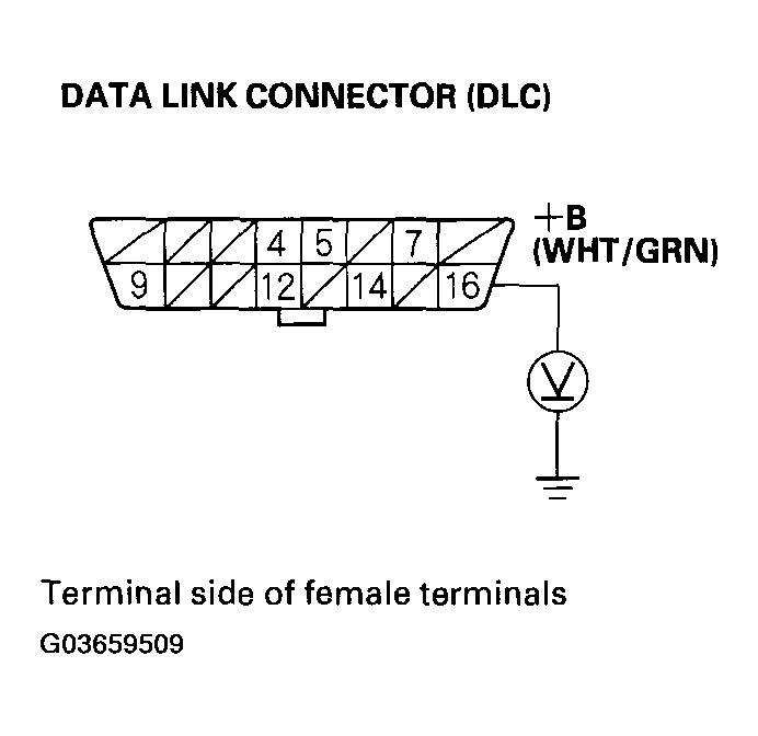 G03659509