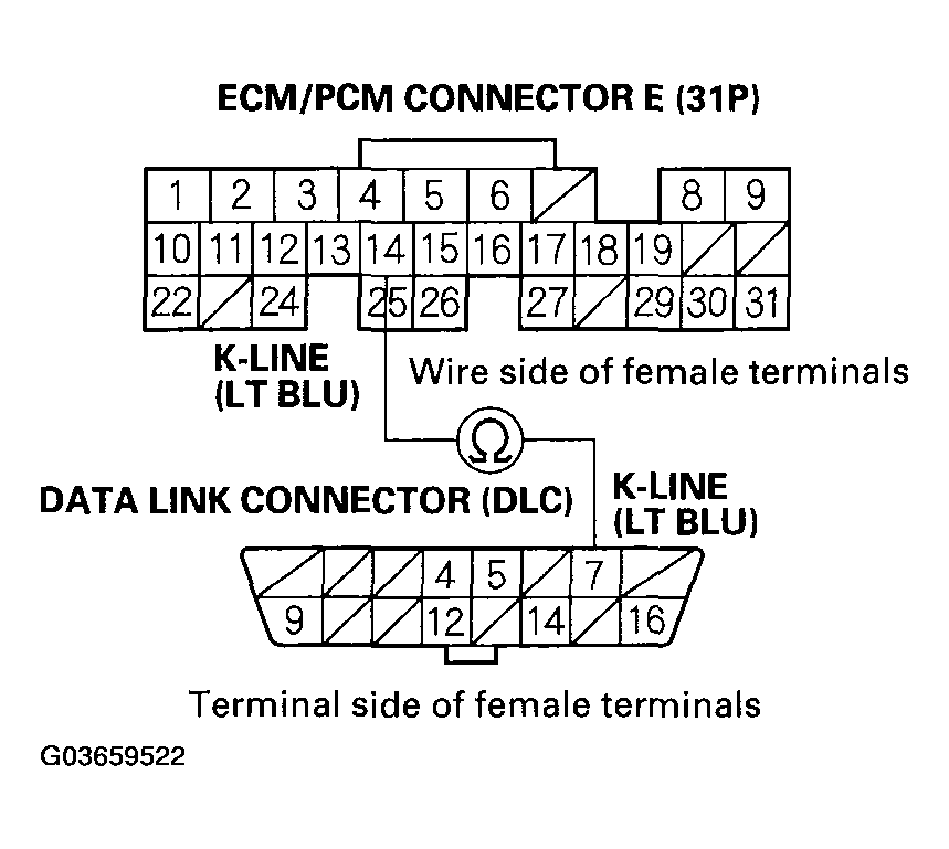 G03659522